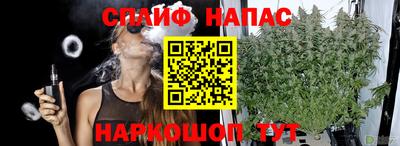 индика Бузулук