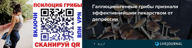 дарнет шоп  Волгодонск  Псилоцибиновые грибы мицелий 