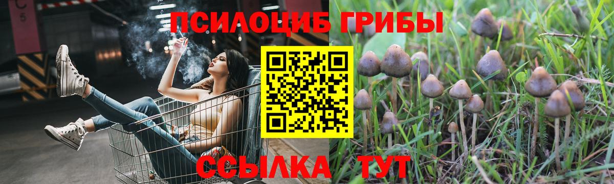 Галлюциногенные грибы Psilocybe  Вход с VPN  Волгодонск 