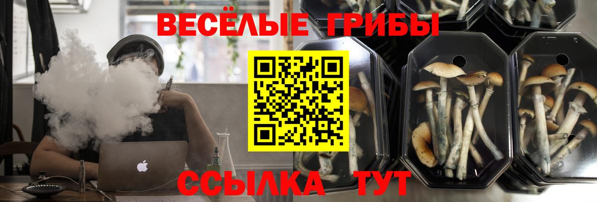 Галлюциногенные грибы Cubensis Волгодонск